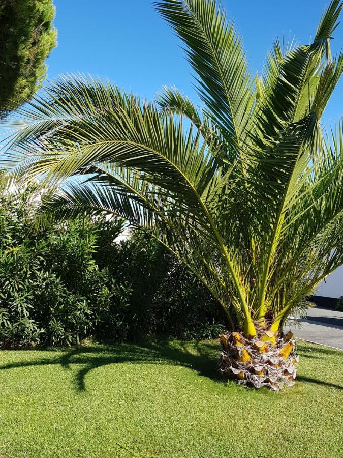 Hotel Jerodel Le Bois-Plage-en-Ré エクステリア 写真